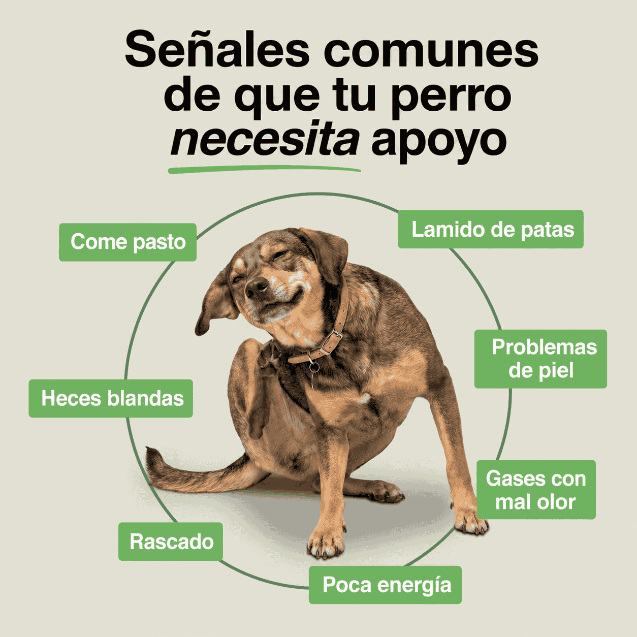 SnackPaws®