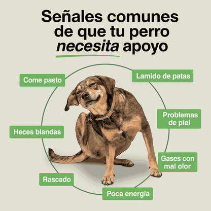 SnackPaws®