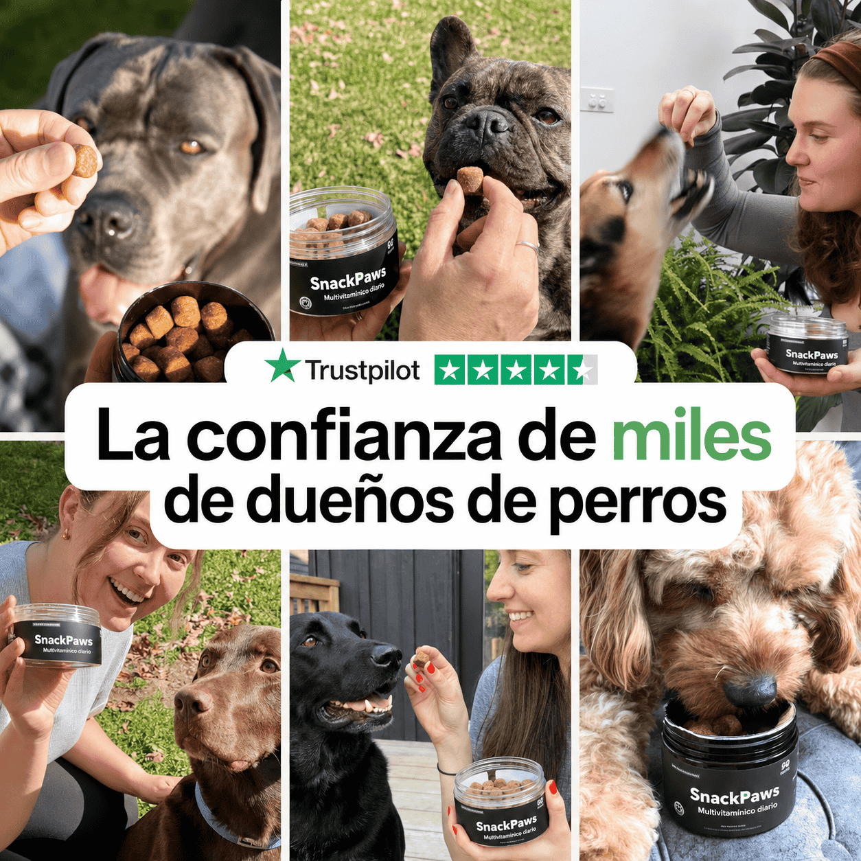 SnackPaws®